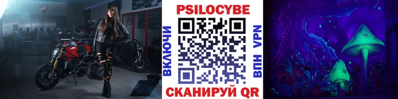 Галлюциногенные грибы Psilocybine cubensis  где купить наркоту  гидра ТОР  Белозерск 